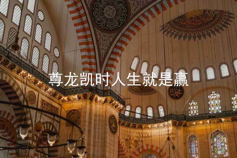 尊龙凯时人生就是赢