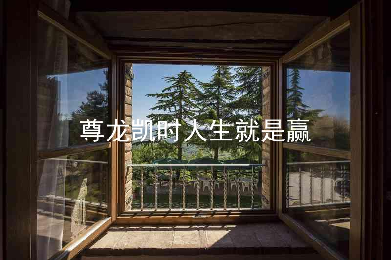 尊龙凯时人生就是赢