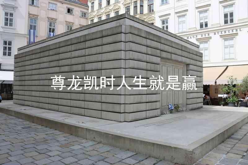 尊龙凯时人生就是赢