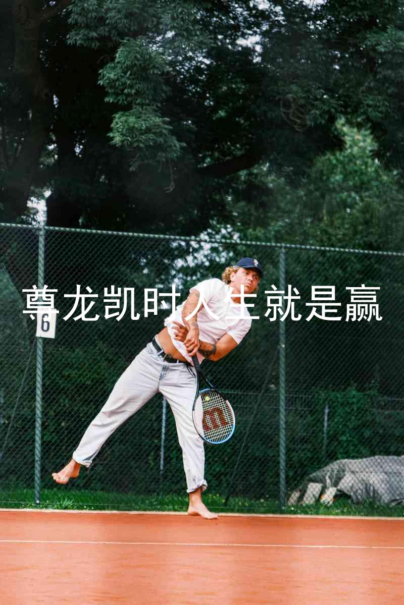 尊龙凯时人生就是赢